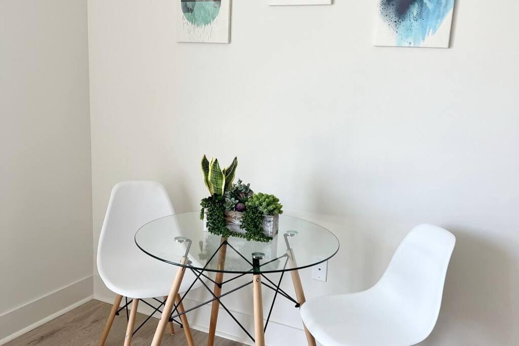 Studio Apartment, Queen Bed, Wifi, Kitchen, Washer & Dryer In Charlotte Exteriör bild